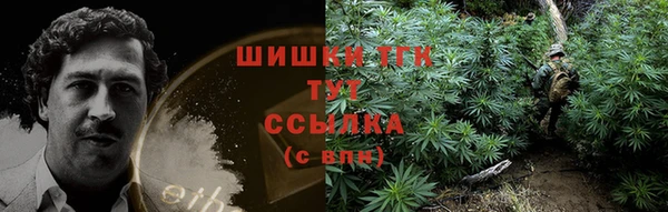 прущие грибы Арсеньев