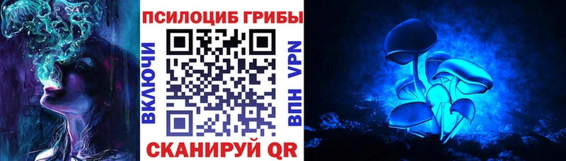 Галлюциногенные грибы мицелий  Лермонтов 
